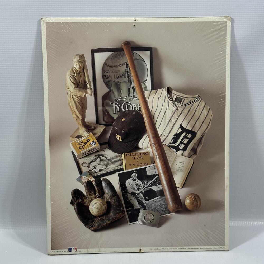 Vintage Ty Cobb Plaque One Size Multi Color MLB Baseball Detroit Tigers 90s